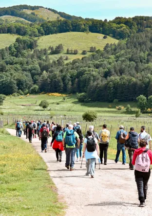 Info Irpinia | Become a Member Info Irpinia | Become a Member