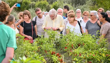 Info Irpinia | Become a Member Info Irpinia | Become a Member