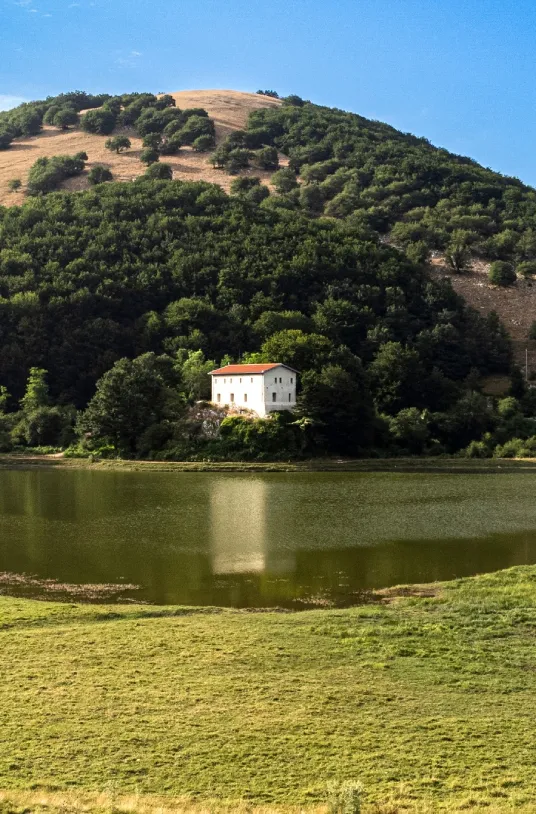 gallry-image