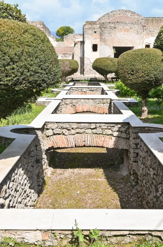 gallry-image